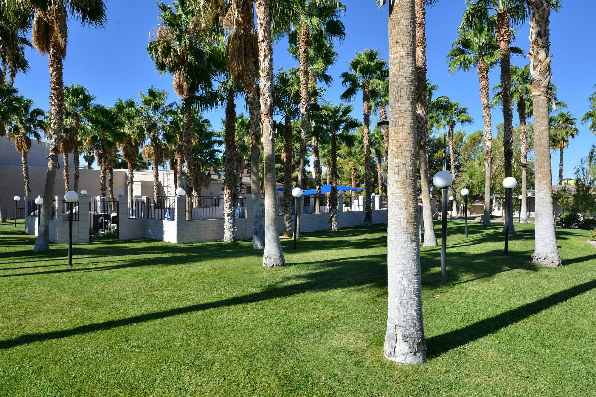 Best Western Pahrump Oasis Экстерьер фото